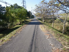 街道近くの農道