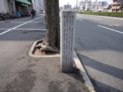 紀州街道