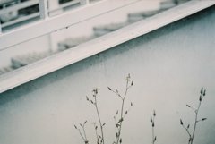 2013-01-17 17.22.14