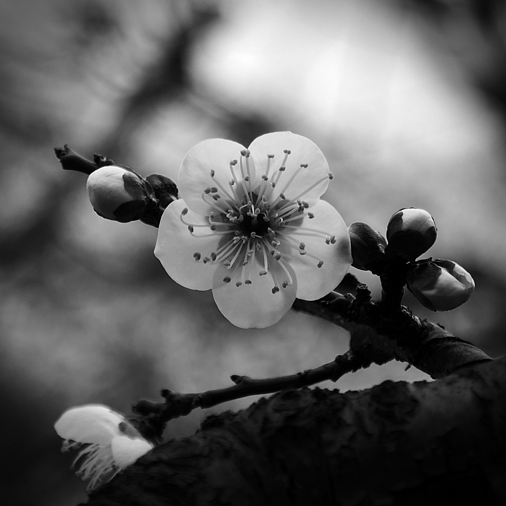 P1310821