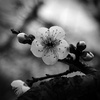 P1310821