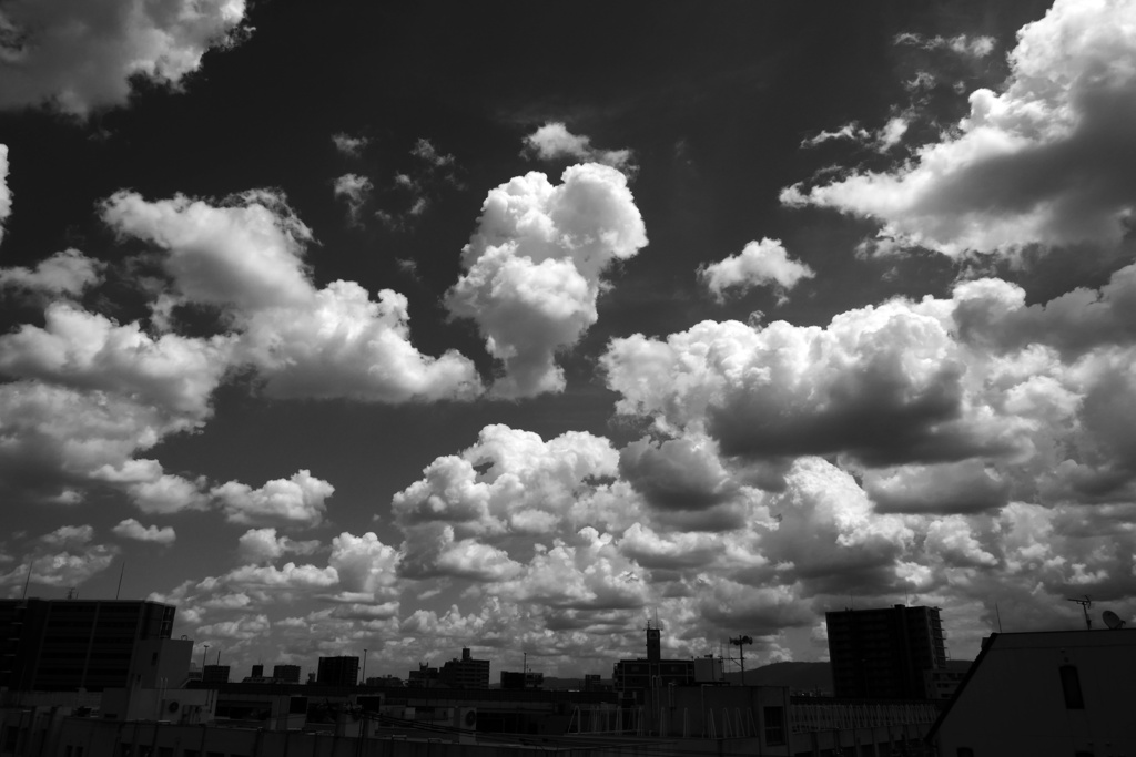 P1120056