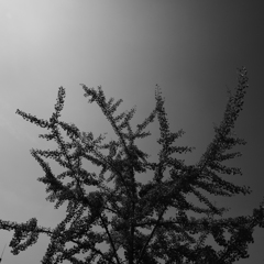 P1040708