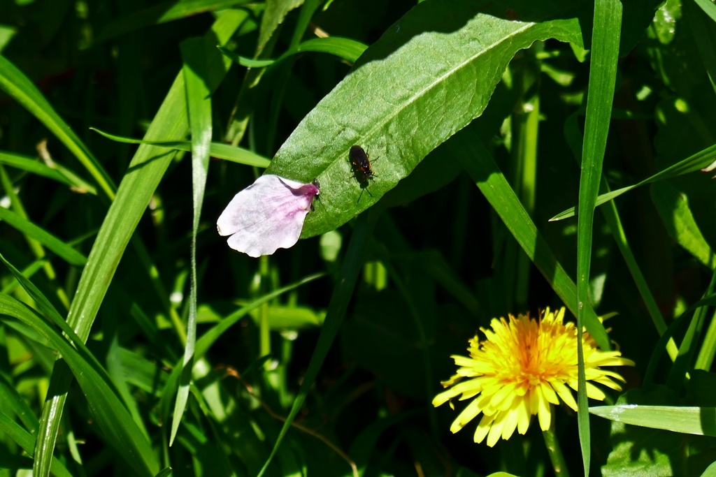 P1190777