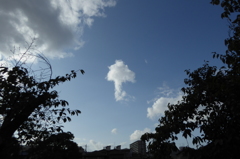 矢印？きのこ？