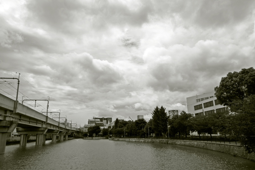 P1020677