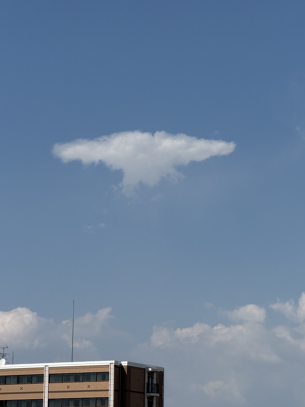 夏空3