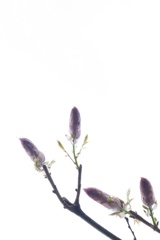 P1090068