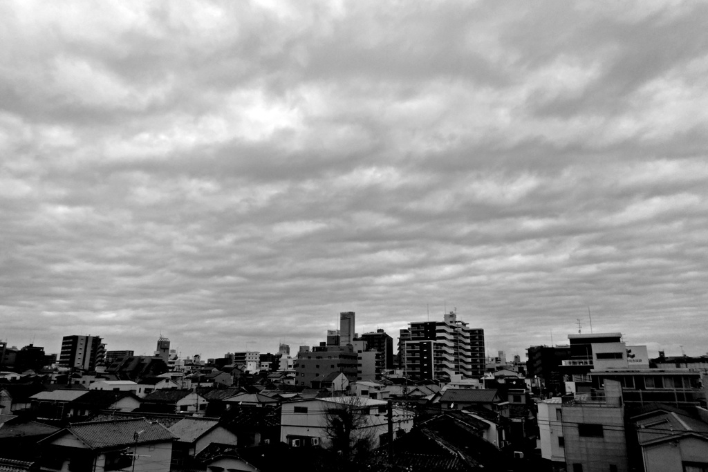 P1080113