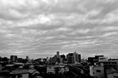 P1080113