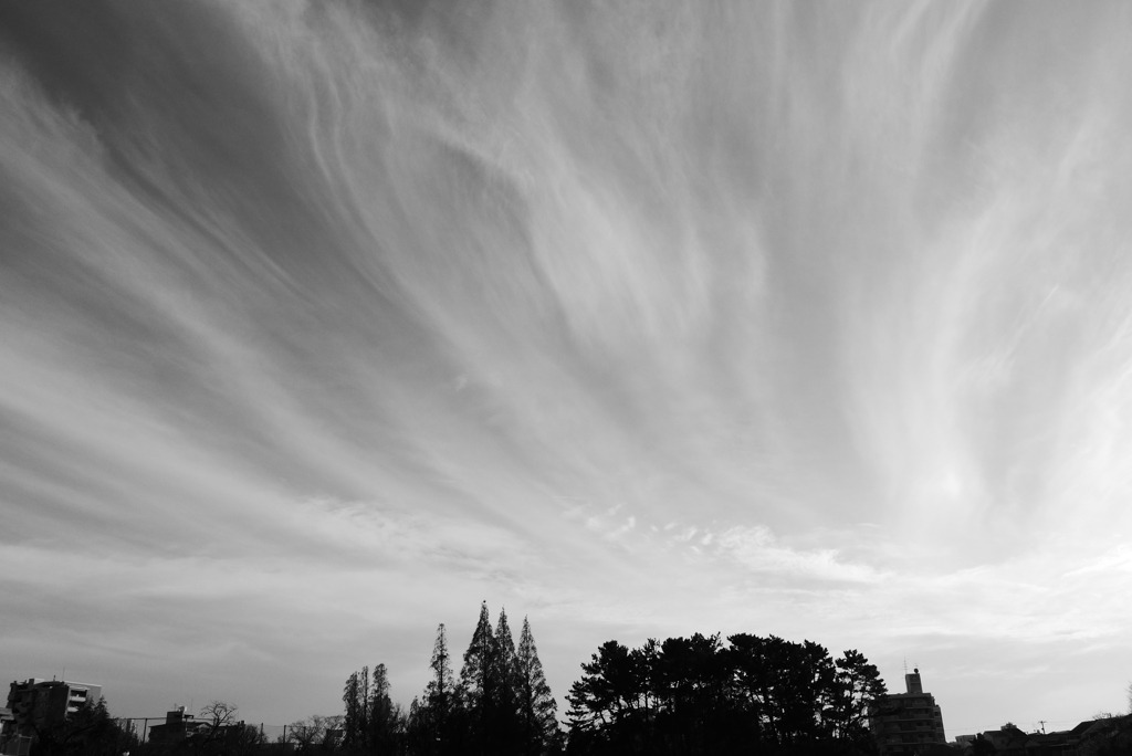 P1280448