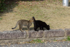 お尻会い