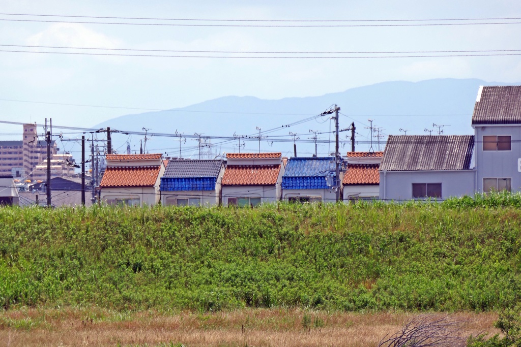 P1000203