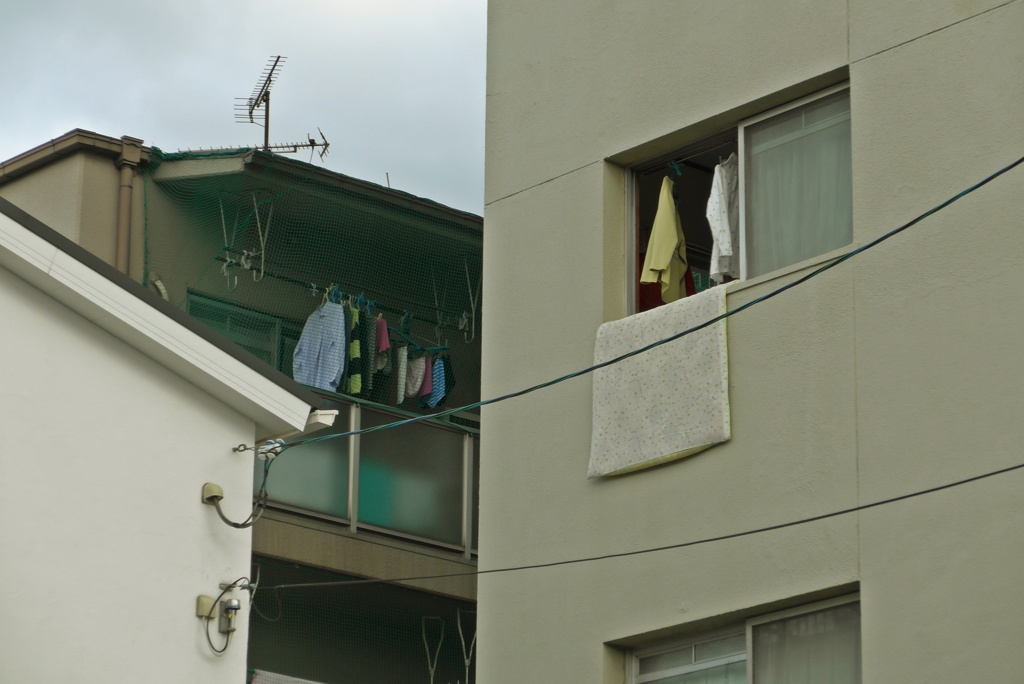 日常