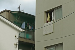 日常