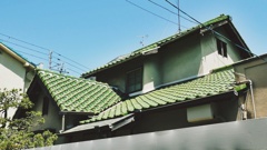 P1210346