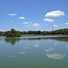 P1000399
