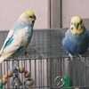 DSCF3607