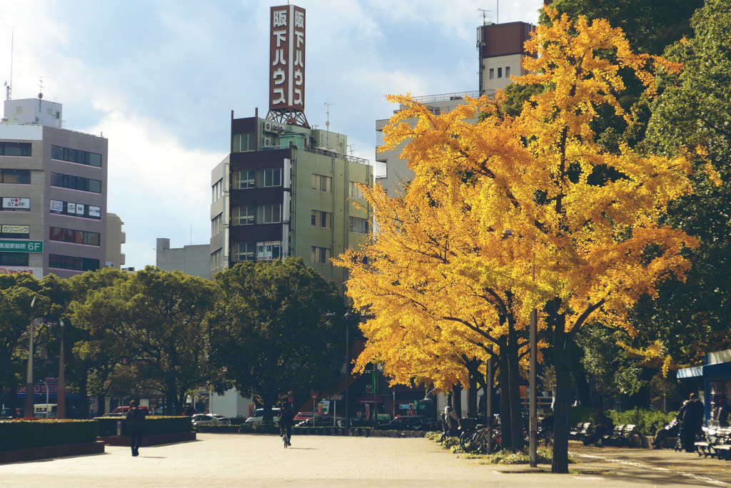 公園10
