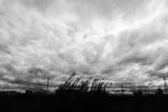 雲 (3)