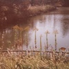 DSCF5610