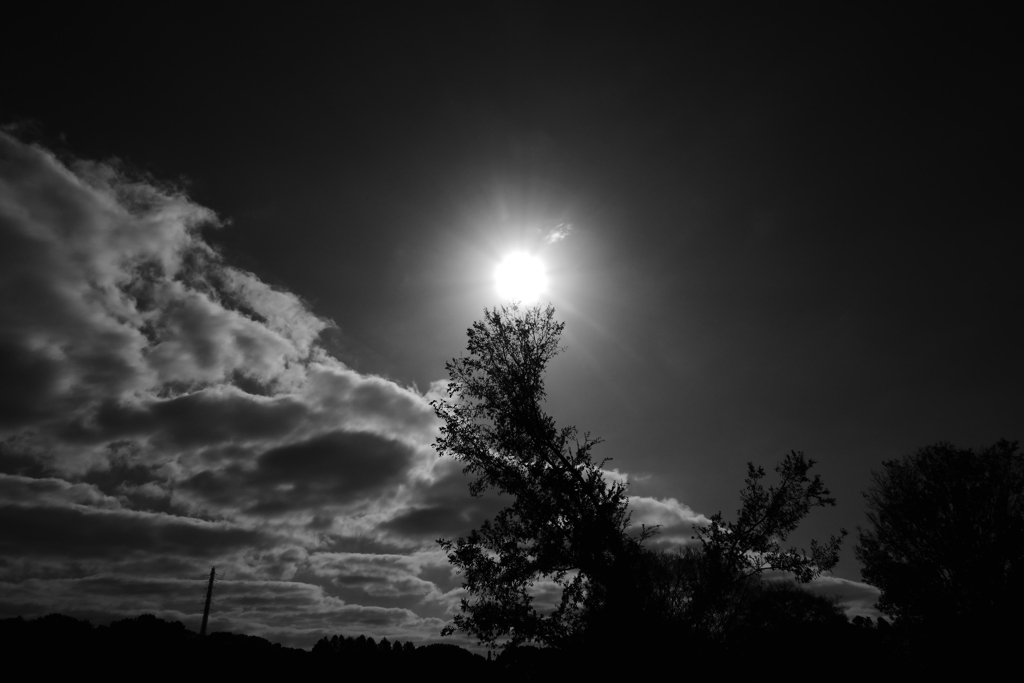 P1070775