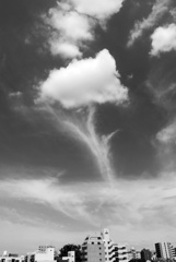 P1390270
