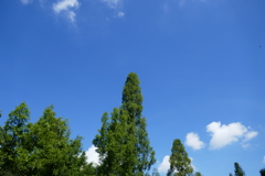 P1040344