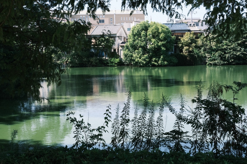 DSCF5390