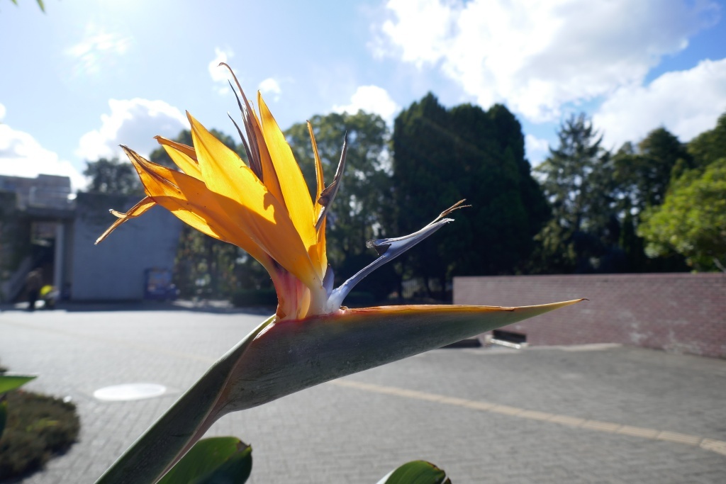 P1310071