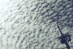 秋雲 (3)