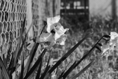 P1300846