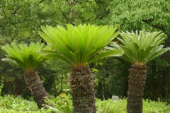 P1290234