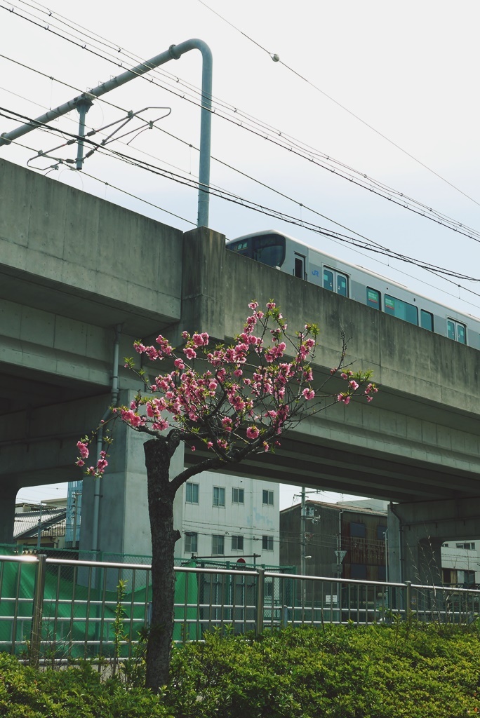 P1410615