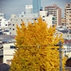 P1300898