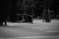 P1050142