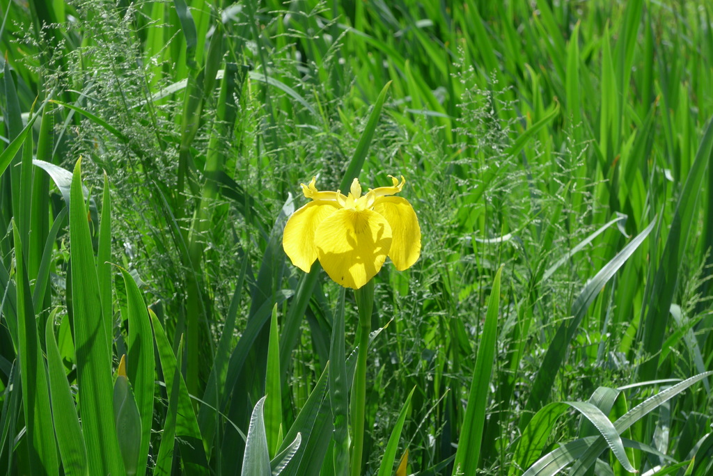 P1340560