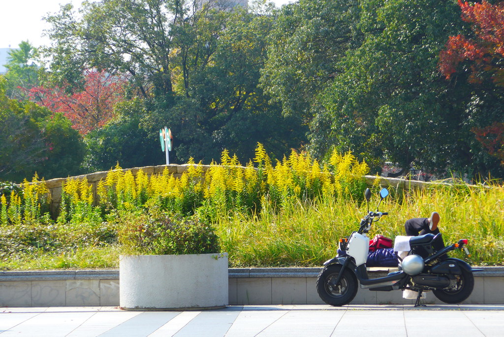 お花とBIKEと休憩と