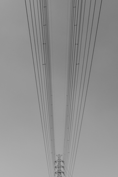 P1190791