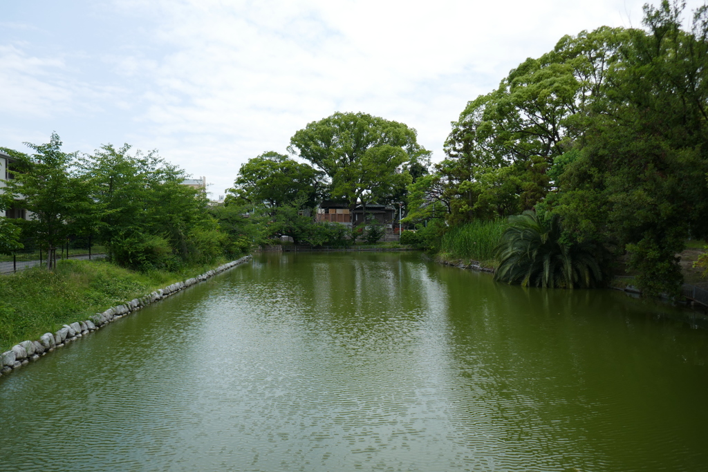 P1000351