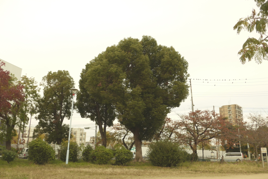日常 (6)