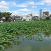 P1390212