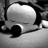 至福ミッキ～