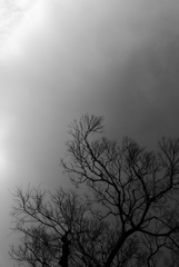 P1160613