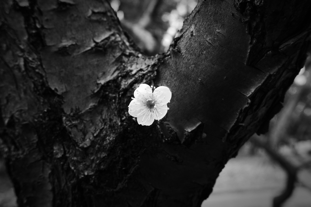 P1370576