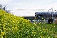 P1190360