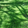 GREENと影