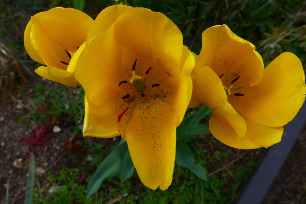 P1380566