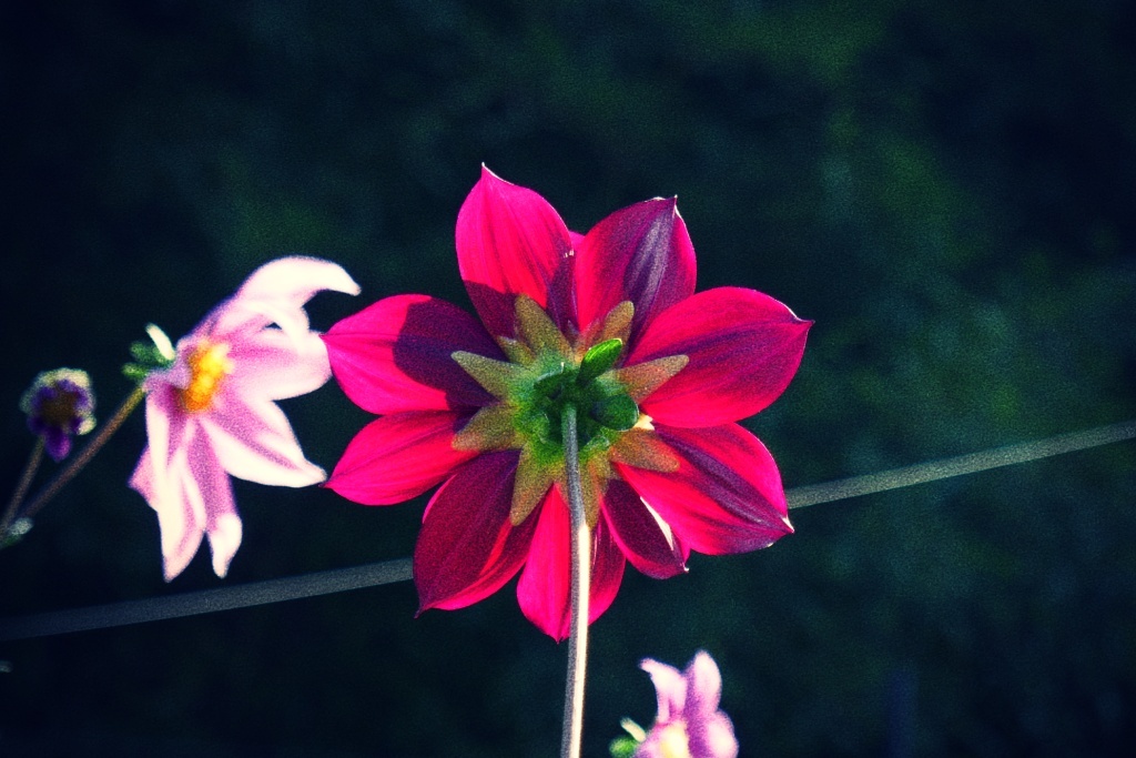 P1300316