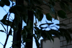 P1110719